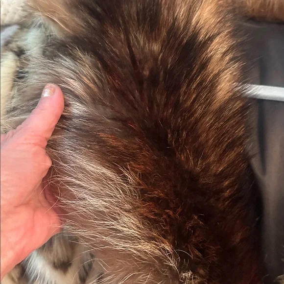 GENUINE LEOPARD FUR VINTAGE FABULOUS LONG COAT ADDITIONAL PHOTOS!! - Picture 7 of 17